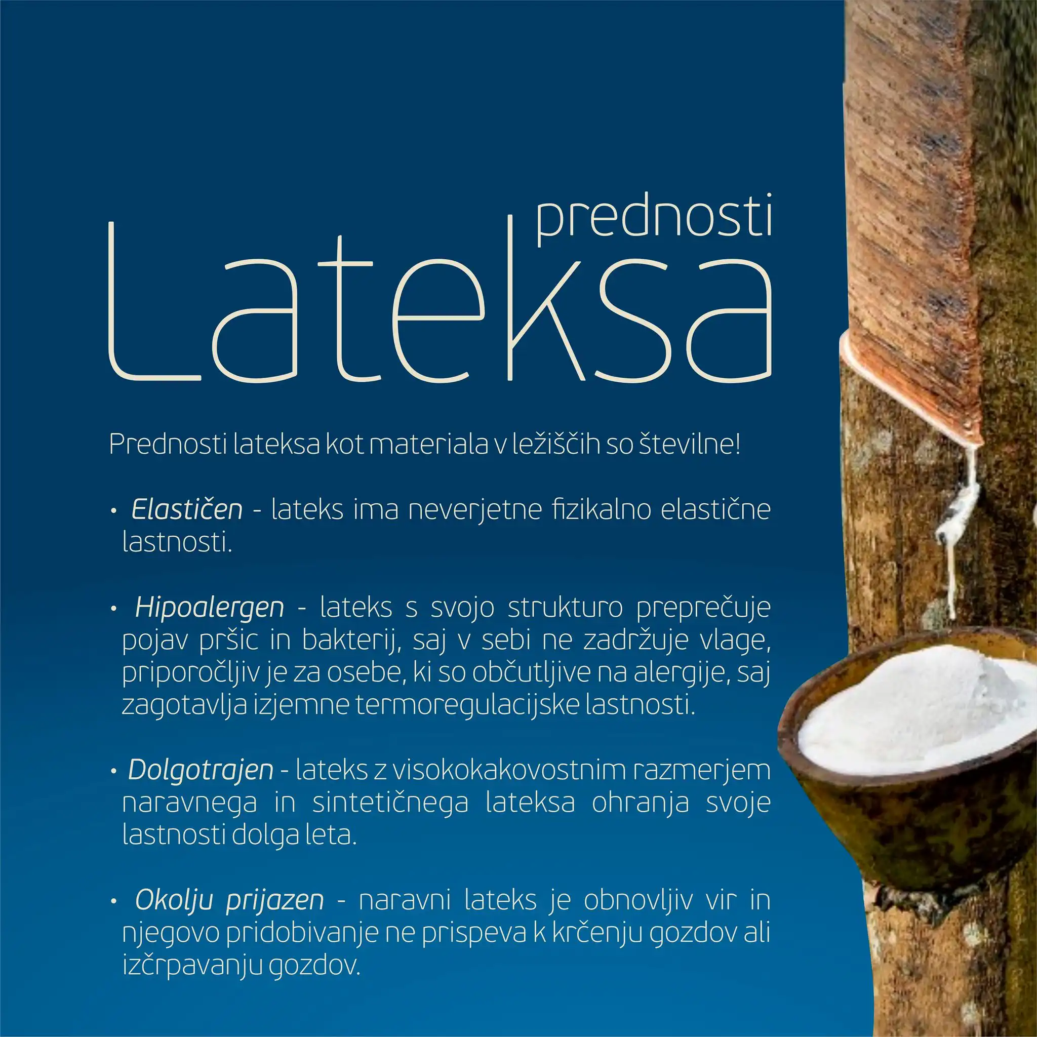 Vzmetnica Latexo | 27 cm | mehka & srednje trda | do 90 kg | Perforiran lateks - slika 4